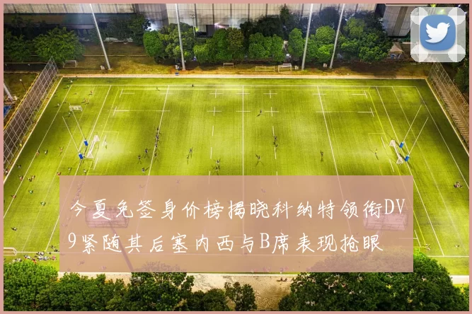 今夏免签身价榜揭晓科纳特领衔DV9紧随其后塞内西与B席表现抢眼