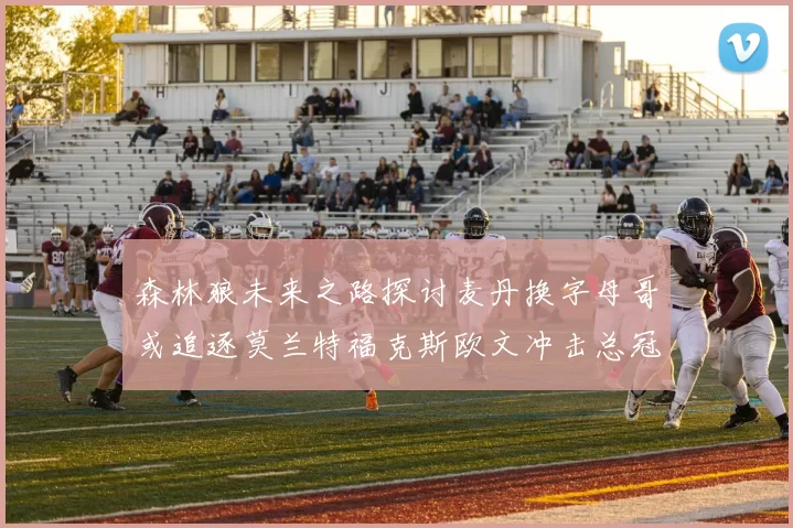 森林狼未来之路探讨麦丹换字母哥或追逐莫兰特福克斯欧文冲击总冠军