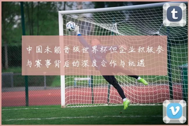 中国未能晋级世界杯但企业积极参与赛事背后的深度合作与机遇